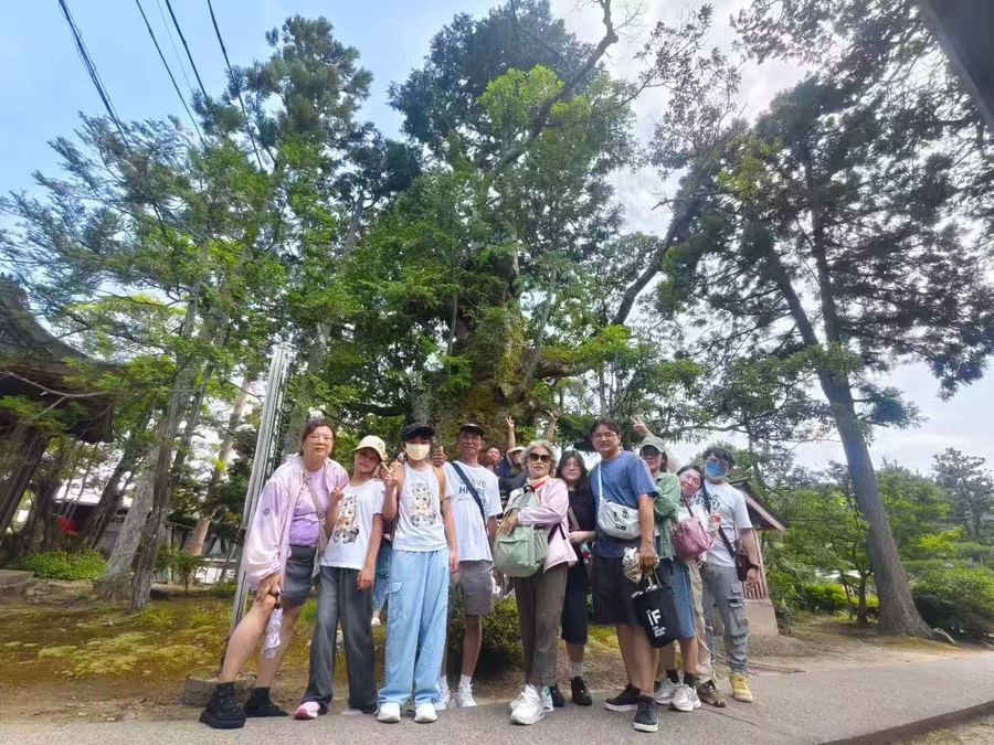 Group under an ancient sacred tree
